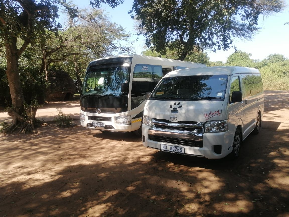 Minibus and coach parked together on a bush road