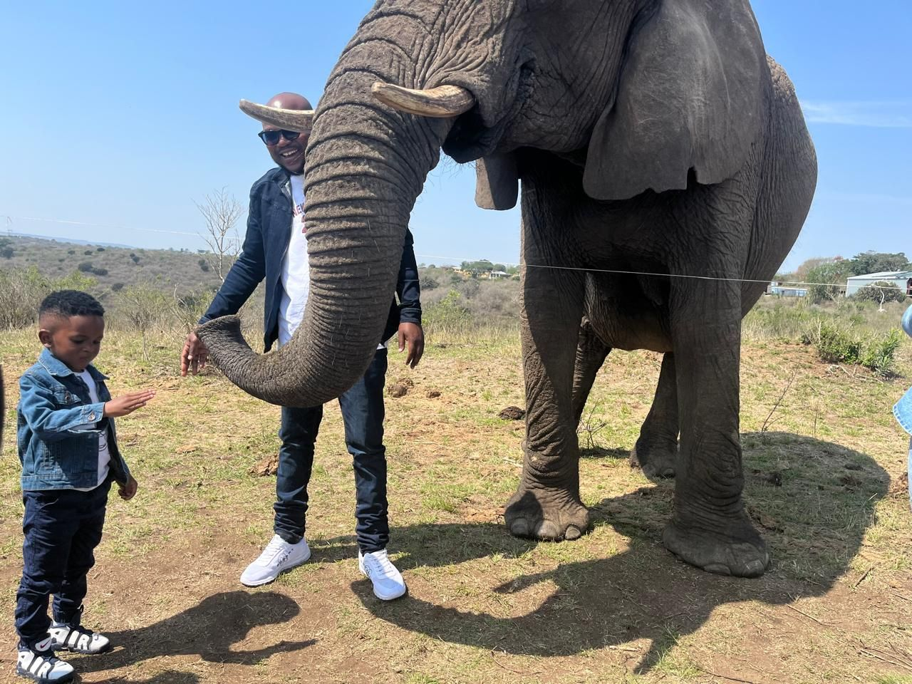 A father and son meeting an elephant